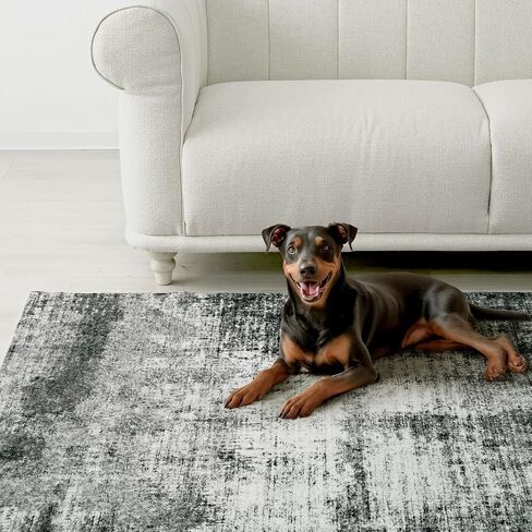 EVERGRACE Modern Abstract Entryway Rug 2x3, Washable Boho Area Rugs for Entrance, Ultra-Soft Front Indoor Door Mat, Small Non-Slip Low Pile Floor Mat Carpet for Kitchen Bathroom, Black in Kuwait