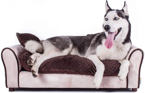 Keet Westerhill Pet Sofa Bed, Medium (28x20x12) Khaki in Kuwait