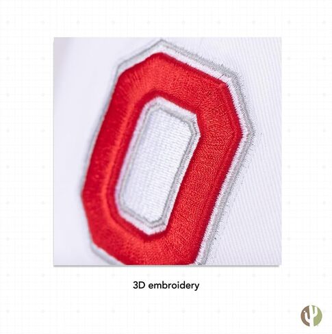 صبار الصحراء، قبعة بيسبول جامعة ولاية أوهايو، OSU Buckeyes، قبعات مطرزة، قبعة قابلة للتعديل، حزام قماش للبالغين (نمط C1) أحمر in Saudi Arabia