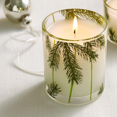 شمعة Thymes Frasier Fir Heritage المصبوبة - تصميم جرة شمعة بإبرة الصنوبر - شمعة معطرة مع روائح التنوب السيبيري الهش وخشب الأرز وخشب الصندل - عطر منزلي فاخر (13 أونصة) in Kuwait