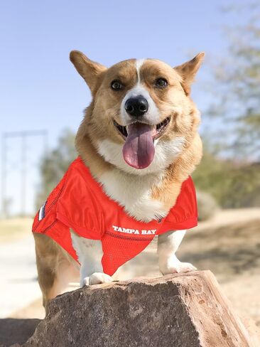 NFL Tampa Bay Buccaneers Dog Jersey, Size: XX-Large. Best Football Jersey Costume for Dogs & Cats. Licensed Jersey Shirt in Saudi Arabia