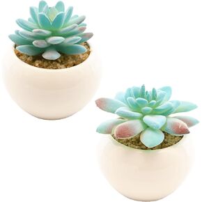 2-Pack Fake Succulent Plants in Ceramic Pots, Mini Artificial Succulent Plants, Faux Succulent Ideal Desk & Home Decor for Office, Room, Bedroom, Bathroom, Shelf & Coffee Table - Green