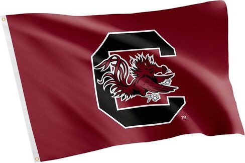 Desert Cactus University of South Carolina Flag Gamecocks USC Cocky Flag Banners 100% Polyester Indoor Outdoor 3x5 feet Flags (Design K) in Saudi Arabia