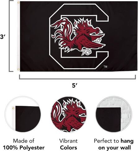 Desert Cactus University of South Carolina Flag Gamecocks USC Cocky Flag Banners 100% Polyester Indoor Outdoor 3x5 feet Flags (Design K) in Saudi Arabia