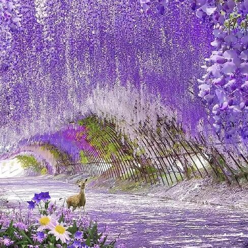 12pcs Pack 43.3" Flame Retardant Artificial Wisteria Hanging Flowers Fake Flores Garland Silk Wisteria String Vines Rattan Wedding Party Wall Ceiling Trade Show Garden Decorations (Violet) in Saudi Arabia