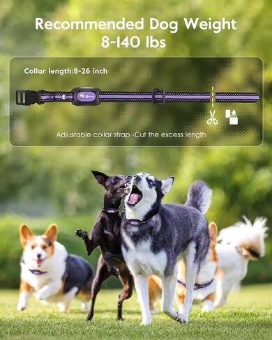 Dog Shock Collar,3300FT Dog Training Collar with Remote,IPX8 Waterproof E-Collar with Beep,Vibration,Shock,Flashing Light,Shock Lock Model,Rechargeable Electric Shock Collar for Dogs,Blue in Kuwait