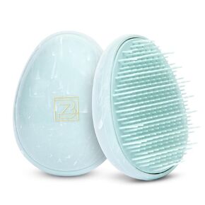 Travel Brush - Mini Hair Brush for Women Teens Kids - Scalp Massager Hair Care - Small Portable Brush - Thick, Curly, Straight, Wet, Dry - Compact Detangler - Purse Essentials - Sensory