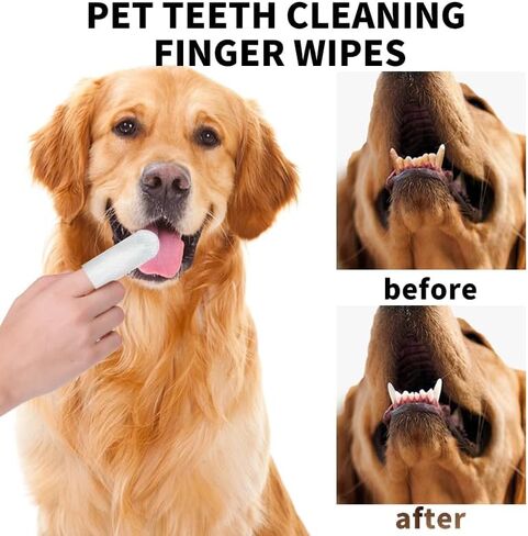 Ear Cleaning Wipes for Pets, 50 Count, Removes Wax and Debris, Soothes Itching and Inflammation in Kuwait