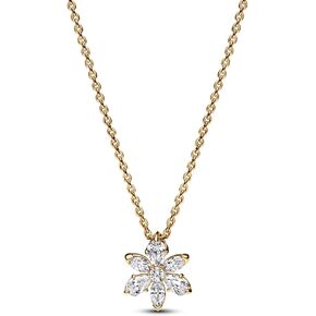 PANDORA Sparkling Herbarium Cluster Pendant Necklace - 45 cm - With Gift Box