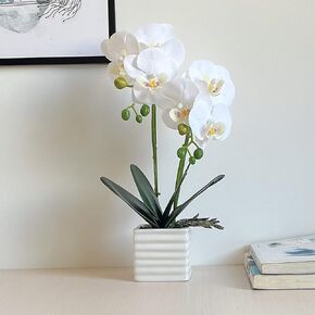Artificial Orchids for Home Decor Indoor with Vase Orchids Artificial Flowers Orange Orchid Height 14 Inches