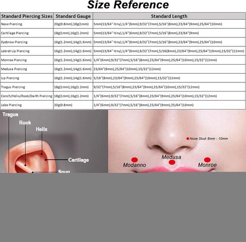 Lantine 1Pcs Cross Cz Threadless Push in Nose Rings Studs Implant Grade Titanium Flat Back Stud Earrings Lip Labret Medusa Monroe Helix Daith Cartilage Tragus Conch Lobe Piercing Jewelry in Saudi Arabia
