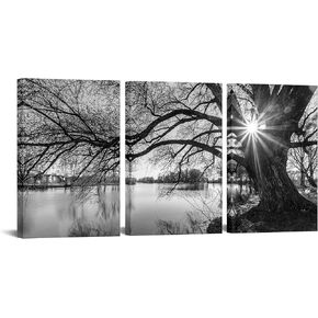 sechars - Canvas Prints Wall Art Black and White Tree in Sunrise Canvas Wall Art Lake Landscape Picture Giclee Print on Canvas Framed and Ready to Hang Modern Home Ofiice Wall Decor - 48"x24"overal