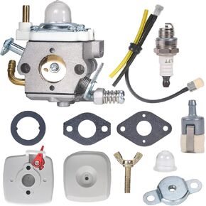 Carburetor with Tune Up Kit Replacement for Walbro WTA-33 Echo PB-250 Leaf Blower for A021001882 P05412999999
