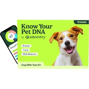 AncestryDNA Know Your Pet DNA: Dog DNA Breed Identification Test, Dog Health Screening, Genetic Traits, DNA Matches, Dog DNA Test