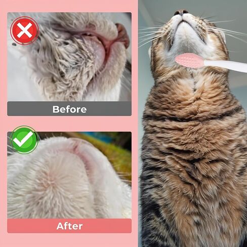 4Pcs Cat Acne Chin Treatment, Black Seed Brush Soft Silicone Cat Grooming Scraper Brush, for Cats Chin Acne & Blackhead Exfoliation, Double-sided Cat Brush in Saudi Arabia