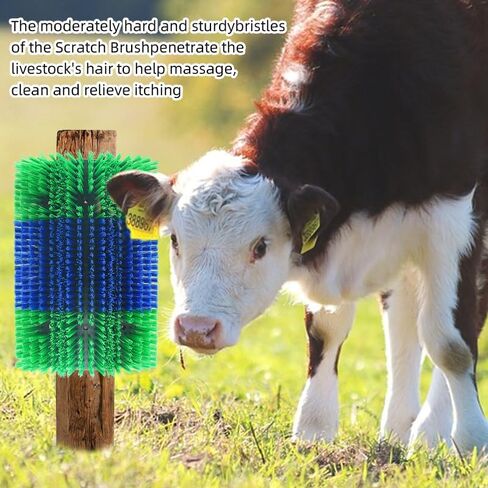 Extra Large Size Livestock scratch bruhes,Durable scratch massage brush,Triple widening design, Easy to Install,Suitable for Cattle,Sheep, Horses Livestock,17 * 9 * 1 inches(Yellow and Blue) in Saudi Arabia