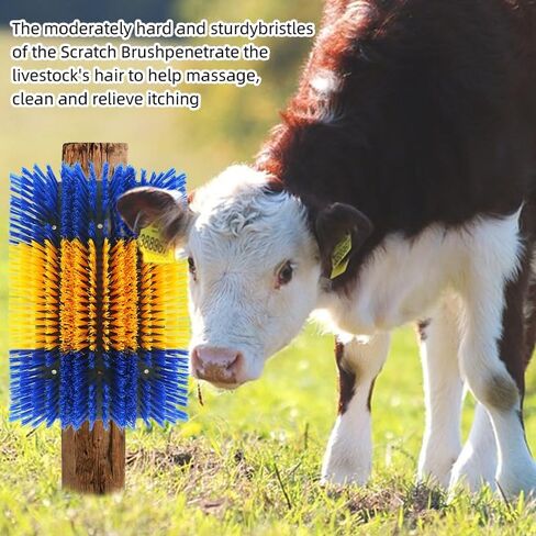 Extra Large Size Livestock scratch bruhes,Durable scratch massage brush,Triple widening design, Easy to Install,Suitable for Cattle,Sheep, Horses Livestock,17 * 9 * 1 inches(Yellow and Blue) in Saudi Arabia