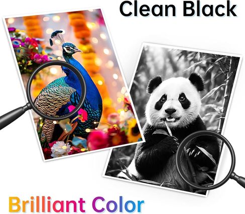 Printer Ink 67 for HP 67 Ink Cartridges Black/Color Combo Pack Replacement for HP Ink 67 67XL with HP Deskjet 2755e 2700e 2752e 4155e 4100 Envy 6000 6055e 6455e 6400 Printer (2 Pack) in Saudi Arabia