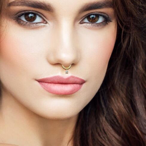 Staligue 16G Septum Clicker Rings Dangle septum jewelry for Women Stainless Steel Septum Clicker Hinged Segment Septum Rings Set Butterfly Star Moon Heart Cartilage Septum Piercing Jewelry in Saudi Arabia
