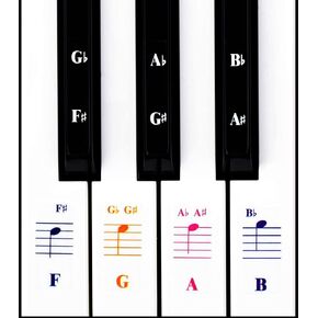 Piano Keyboard Notes Stickers 88/61/54/49/37 Keys Multi-Color,Transparent,Removable Colorful Large Bold Letter Piano Stickers Perfect for Beginners kids Learning Piano (03_Black-white Letter)