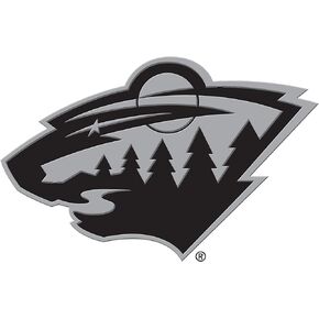 FANMATS NHL Unisex-Adult Chrome Emblem