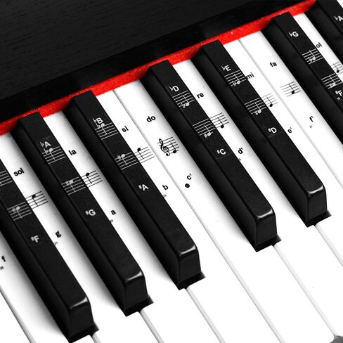 Piano Keyboard Notes Stickers 88/61/54/49/37 Keys Multi-Color,Transparent,Removable Colorful Large Bold Letter Piano Stickers Perfect for Beginners kids Learning Piano (03_Black-white Letter) in Saudi Arabia