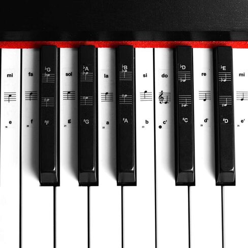 Piano Keyboard Notes Stickers 88/61/54/49/37 Keys Multi-Color,Transparent,Removable Colorful Large Bold Letter Piano Stickers Perfect for Beginners kids Learning Piano (03_Black-white Letter) in Saudi Arabia
