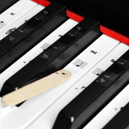 Piano Keyboard Notes Stickers 88/61/54/49/37 Keys Multi-Color,Transparent,Removable Colorful Large Bold Letter Piano Stickers Perfect for Beginners kids Learning Piano (03_Black-white Letter) in Saudi Arabia