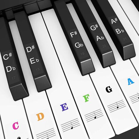 Piano Keyboard Notes Stickers 88/61/54/49/37 Keys Multi-Color,Transparent,Removable Colorful Large Bold Letter Piano Stickers Perfect for Beginners kids Learning Piano (03_Black-white Letter) in Saudi Arabia