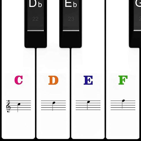 Piano Keyboard Notes Stickers 88/61/54/49/37 Keys Multi-Color,Transparent,Removable Colorful Large Bold Letter Piano Stickers Perfect for Beginners kids Learning Piano (03_Black-white Letter) in Saudi Arabia
