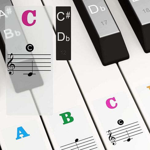 Piano Keyboard Notes Stickers 88/61/54/49/37 Keys Multi-Color,Transparent,Removable Colorful Large Bold Letter Piano Stickers Perfect for Beginners kids Learning Piano (03_Black-white Letter) in Saudi Arabia