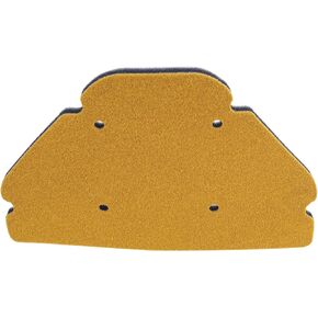 Road Passion Air Filter 11013-1270 Compatible with Kawasaki ZX900 ZX 900 Ninja ZX-9R 1998 1999 2000 2001 2002 2003
