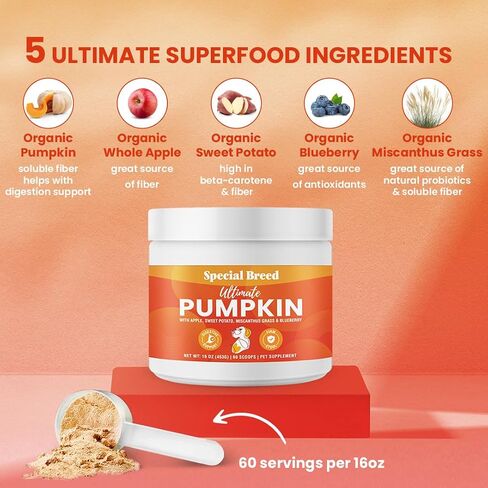 Organic Pumpkin Powder for Dogs (16 oz) - Digestive Support - Natural Fiber for Dogs - Tasty Food Topper or Mix with Water for Pumpkin Puree, 60 Scoops in Saudi Arabia