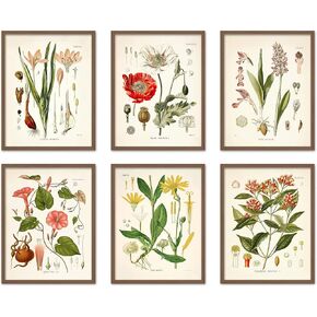 Vintage Botanical Wall Art Print, Set of 6 8x10 inches, Cottagecore Wall Art Posters, Vintage Aesthetic Decor for Bedroom