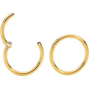 365 Sleepers 2PCS 20G Surgical Steel 6mm - 10mm Hinged Hoop Segment Septum Cartilage Helix Tragus Lip Eyebrow Nose Ring Sleeper Earrings