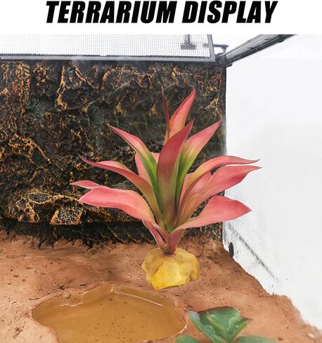 Woyrise Reptile Plants Succulent, Artificial Desert Plant for Terrarium Decor, Bearded Dragon Tank Accessories fit Gecko Lizard Chameleon Ball Python Snake - Sedum Palmeri in Saudi Arabia