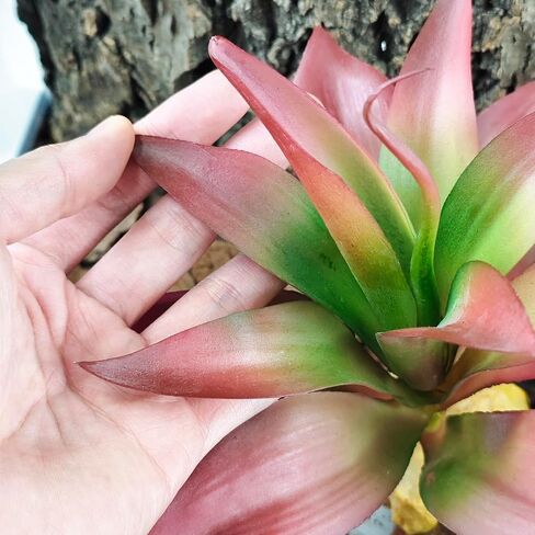 Woyrise Reptile Plants Succulent, Artificial Desert Plant for Terrarium Decor, Bearded Dragon Tank Accessories fit Gecko Lizard Chameleon Ball Python Snake - Sedum Palmeri in Saudi Arabia