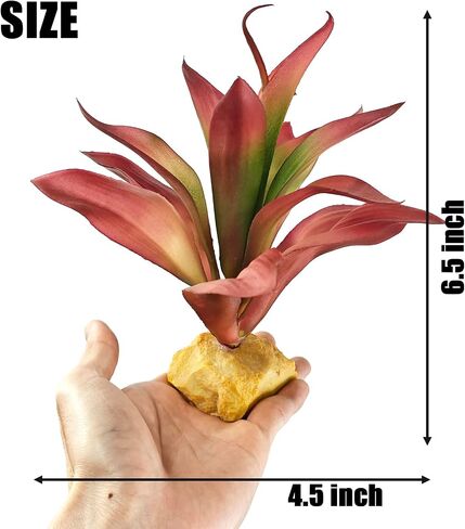 Woyrise Reptile Plants Succulent, Artificial Desert Plant for Terrarium Decor, Bearded Dragon Tank Accessories fit Gecko Lizard Chameleon Ball Python Snake - Sedum Palmeri in Saudi Arabia