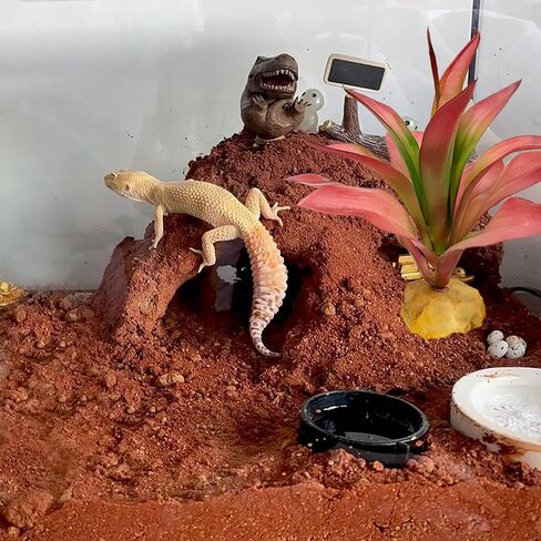 Woyrise Reptile Plants Succulent, Artificial Desert Plant for Terrarium Decor, Bearded Dragon Tank Accessories fit Gecko Lizard Chameleon Ball Python Snake - Sedum Palmeri in Saudi Arabia