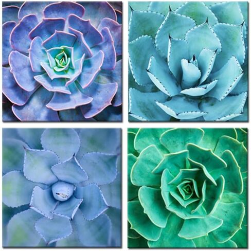 iKNOW FOTO Canvas Set of 4 Wall Art Green Blue Succulent Plant Pictures Giclee Prints Botanical Photography Gallery Wrap Modern Home Decor Ready to Hang 16x16inchx4pcs in Kuwait