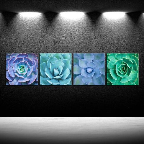 iKNOW FOTO Canvas Set of 4 Wall Art Green Blue Succulent Plant Pictures Giclee Prints Botanical Photography Gallery Wrap Modern Home Decor Ready to Hang 16x16inchx4pcs in Kuwait