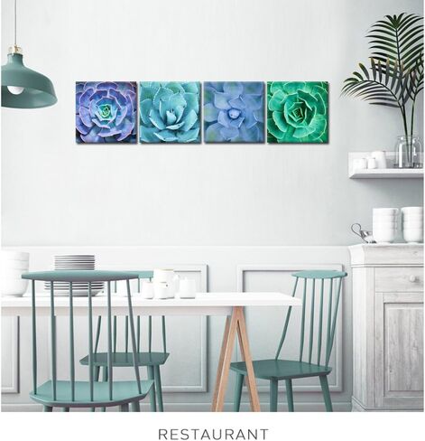 iKNOW FOTO Canvas Set of 4 Wall Art Green Blue Succulent Plant Pictures Giclee Prints Botanical Photography Gallery Wrap Modern Home Decor Ready to Hang 16x16inchx4pcs in Kuwait
