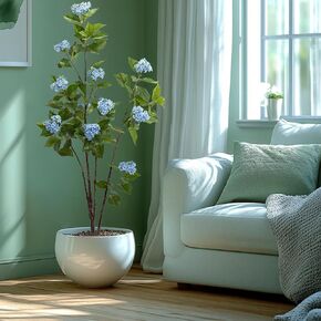 Fake Tree Hydrangea Fake Tall Plant Tall Artificial Plants Indoor for Home Decor Faux Plants Indoor Tall Hydrangea Artificial Flowers Outdoor Decor Artificial Tree Tall Faux Plants Indoor 6ft(White)