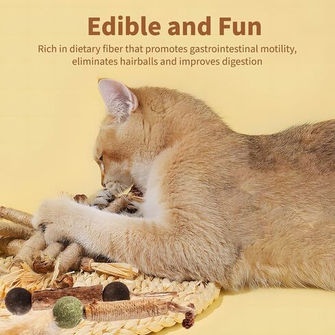 Rope Cat Toys Cat Chew Toy for Teeth Cleaning Interactive Cat Nip Kitty Toys for Indoor Cats, 3 Pack in Saudi Arabia
