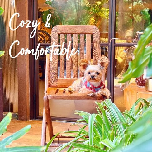 Super Small!! YorkieGogo 2-Pack Extra Small Pet Clothes, Ultra-Soft Clothes for Teacup Dog, Small Cat, Ferret and Lemur, Ropa para Perro in Saudi Arabia