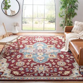 SAFAVIEH Aspen Collection 8' x 10' Red/Blue APN507A Handmade Boho Wool Area Rug