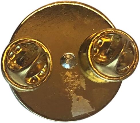 United States Army Enlisted Branch of Insignia 1" Lapel Pin in Saudi Arabia