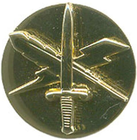 United States Army Enlisted Branch of Insignia 1" Lapel Pin in Saudi Arabia