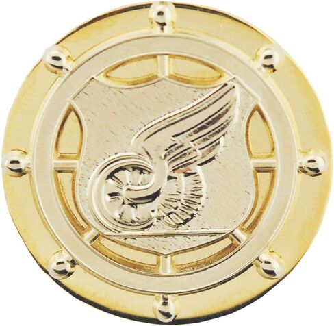 United States Army Enlisted Branch of Insignia 1" Lapel Pin in Saudi Arabia