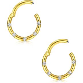 FECTAS Nose Ring Surgical Steel Hinged Nose Rings 2pcs 18G 16G Nose Hoop Ring Body Piercing Jewelry for Lip Nose Helix Cartilage Rook Ear